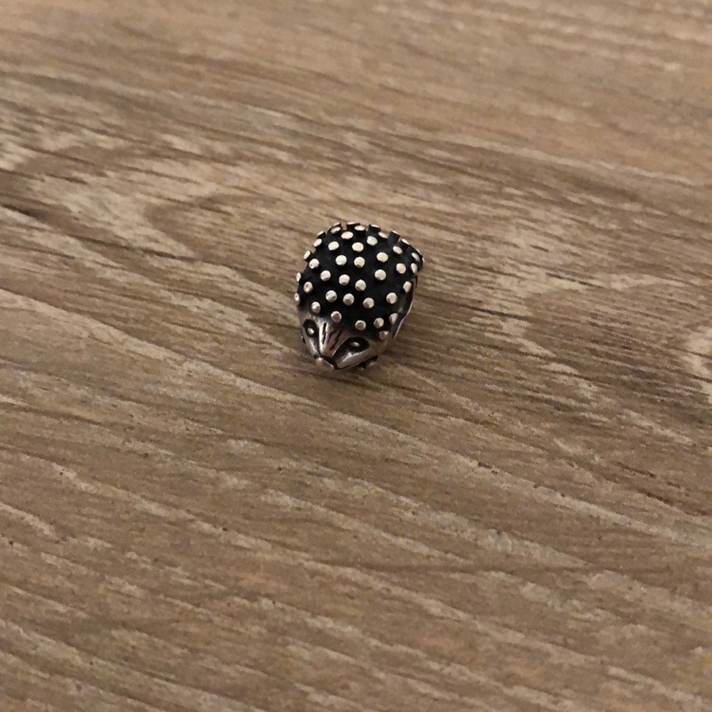 Pandora Hedgehog Charm